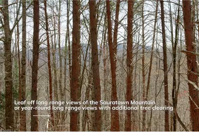 1583 Seven Island Road, Danbury, NC 27016 - Photo 15