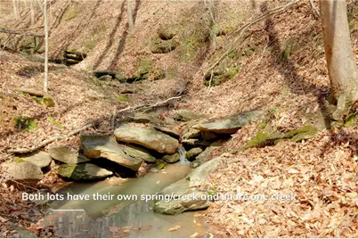 1583 Seven Island Road, Danbury, NC 27016 - Photo 21