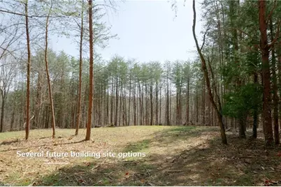 1583 Seven Island Road, Danbury, NC 27016 - Photo 1