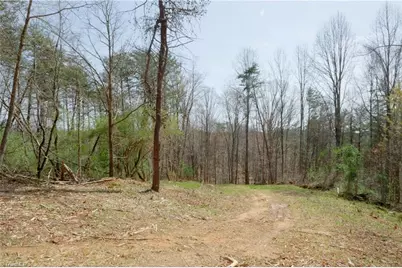 1583 Seven Island Road, Danbury, NC 27016 - Photo 9