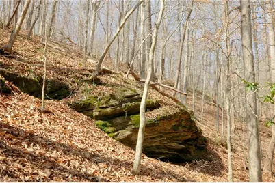 1583 Seven Island Road, Danbury, NC 27016 - Photo 17