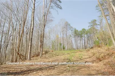 1583 Seven Island Road, Danbury, NC 27016 - Photo 11