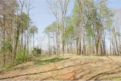 0 Seven Island Road, Danbury, NC 27016 - Photo 13