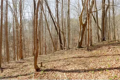 0 Seven Island Road, Danbury, NC 27016 - Photo 15