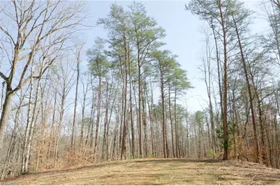 0 Seven Island Road, Danbury, NC 27016 - Photo 5