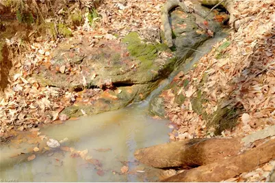 0 Seven Island Road, Danbury, NC 27016 - Photo 3