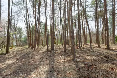 0 Seven Island Road, Danbury, NC 27016 - Photo 17