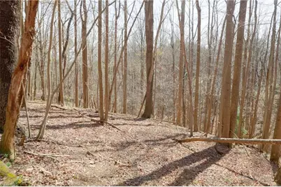 0 Seven Island Road, Danbury, NC 27016 - Photo 17