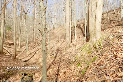 0 Seven Island Road, Danbury, NC 27016 - Photo 7