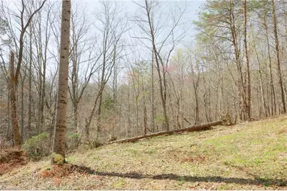 0 Seven Island Road, Danbury, NC 27016 - Photo 1