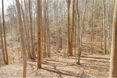 0 Seven Island Road, Danbury, NC 27016 - Photo 13