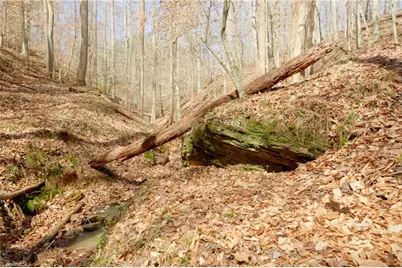 0 Seven Island Road, Danbury, NC 27016 - Photo 5