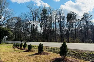 1389 McCoy Rd, Reidsville, NC 27320 - Photo 45