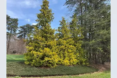 8706 M G Trail, Stokesdale, NC 27357 - Photo 37