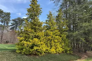 8706 M G Trail, Stokesdale, NC 27357 - Photo 37