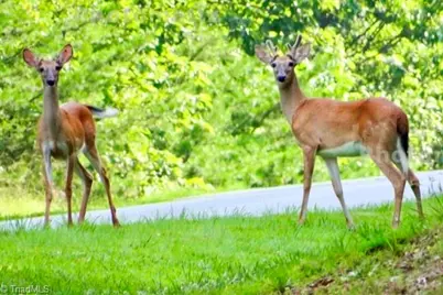 135 Boulder Ridge Drive, Denton, NC 27239 - Photo 49
