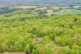 135 Boulder Ridge Dr, Denton, NC 27239 - Photo 35