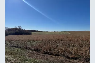 000 Grover Simmons Road, Dobson, NC 27017 - Photo 3