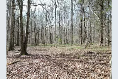 00 Tilden Nursery Road, Lexington, NC 27295 - Photo 3