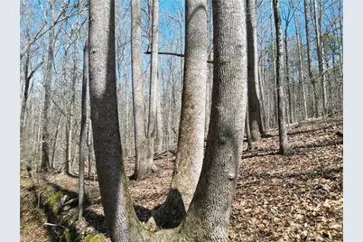 00 Tilden Nursery Road, Lexington, NC 27295 - Photo 15