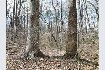 00 Tilden Nursery Road, Lexington, NC 27295 - Photo 21