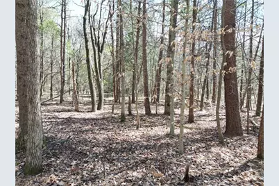 00 Tilden Nursery Road, Lexington, NC 27295 - Photo 17