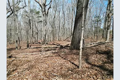00 Tilden Nursery Road, Lexington, NC 27295 - Photo 13
