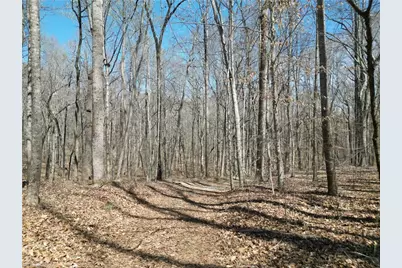 00 Tilden Nursery Road, Lexington, NC 27295 - Photo 11