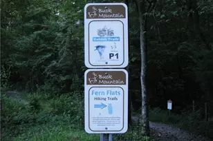 128 Deer Antler Dr, Purlear, NC 28665 - Photo 47