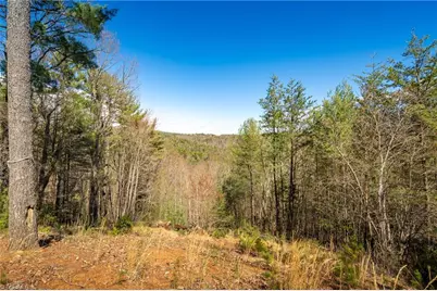 128 Deer Antler Drive, Purlear, NC 28665 - Photo 37