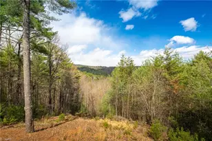 128 Deer Antler Dr, Purlear, NC 28665 - Photo 13