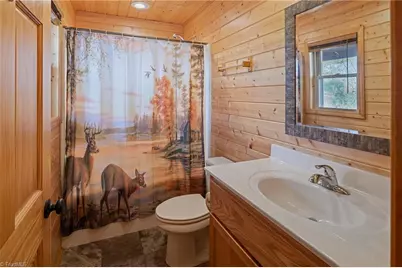 128 Deer Antler Drive, Purlear, NC 28665 - Photo 21