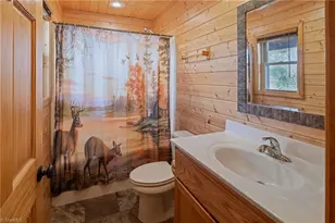 128 Deer Antler Dr, Purlear, NC 28665 - Photo 21