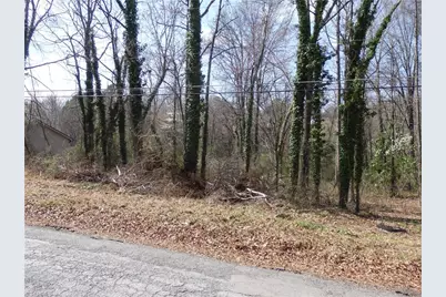 0 Chestnut Street, Asheboro, NC 27203 - Photo 5