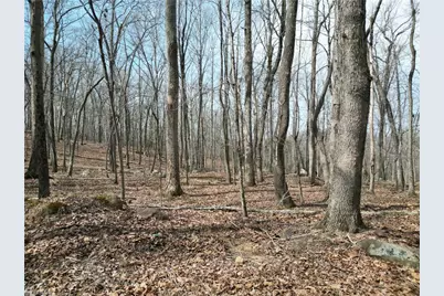 367 Rocky Cove Lane, Denton, NC 27239 - Photo 17