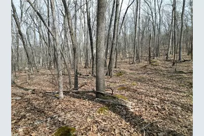 367 Rocky Cove Lane, Denton, NC 27239 - Photo 13