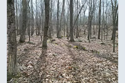 367 Rocky Cove Lane, Denton, NC 27239 - Photo 21