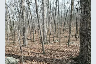 367 Rocky Cove Lane, Denton, NC 27239 - Photo 9