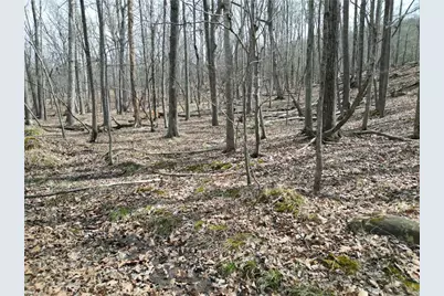 367 Rocky Cove Lane, Denton, NC 27239 - Photo 15