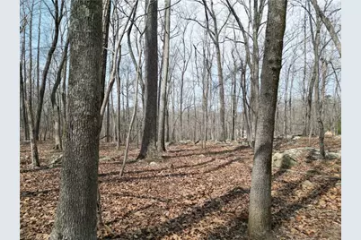 367 Rocky Cove Lane, Denton, NC 27239 - Photo 19