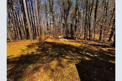 5610 Piney Grove Church Road, Siler City, NC 27344 - Photo 47