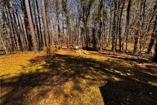 5610 Piney Grove Church Rd, Siler City, NC 27344 - Photo 47