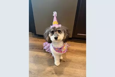 5180 Sedge Hollow Drive, Kernersville, NC 27284 - Photo 35