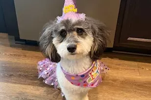 5180 Sedge Hollow Dr, Kernersville, NC 27284 - Photo 35