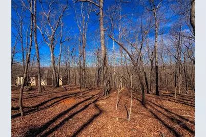 2171 Sierra Trace Road, Denton, NC 27239 - Photo 5