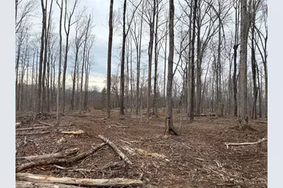 8220 Southerland Drive, Browns Summit, NC 27214 - Photo 15