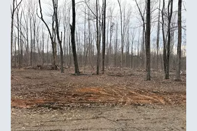 8220 Southerland Drive, Browns Summit, NC 27214 - Photo 13