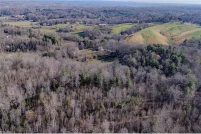 251 Rousseau Farm Road, Wilkesboro, NC 28697 - Photo 23