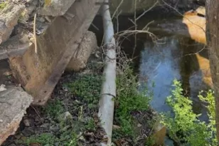 251 Rousseau Farm Rd, Wilkesboro, NC 28697 - Photo 29