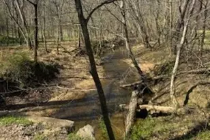 251 Rousseau Farm Rd, Wilkesboro, NC 28697 - Photo 31